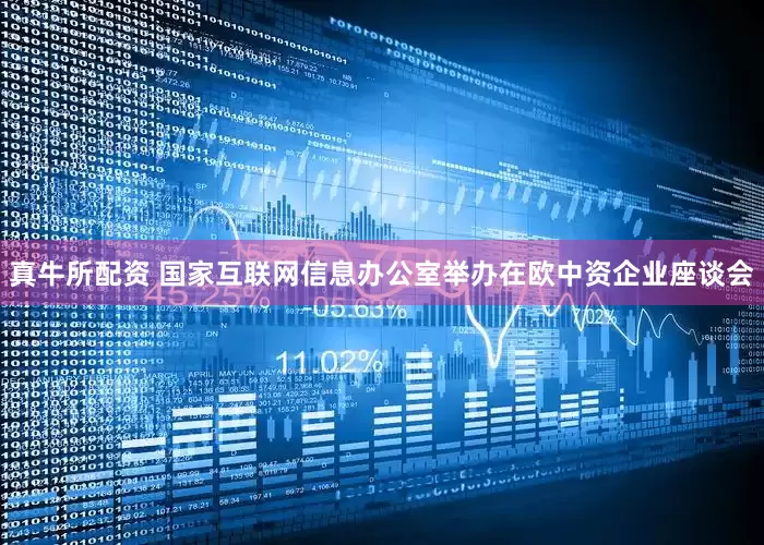 真牛所配资 国家互联网信息办公室举办在欧中资企业座谈会