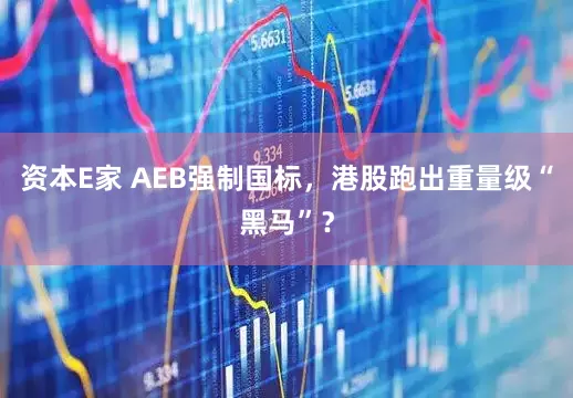 资本E家 AEB强制国标，港股跑出重量级“黑马”？