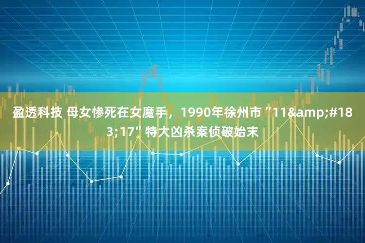 盈透科技 母女惨死在女魔手，1990年徐州市“11&#183;17”特大凶杀案侦破始末