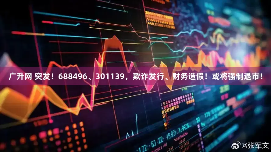 广升网 突发！688496、301139，欺诈发行、财务造假！或将强制退市！